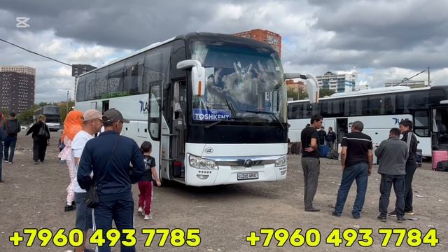 sankt-peterburg-tashkent avtobus piter-tashkent санкт-петербург-ташкент автобус питер ташкент