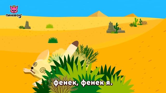 Фенек — Фа-Фа Фенек | Песни про Животных | Пинкфонг Песни для Детей