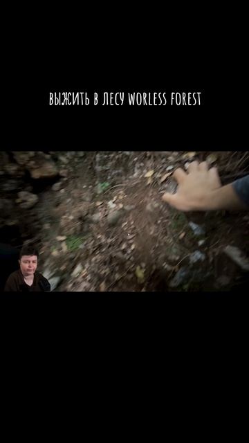 выжить в лесу Worless Forest