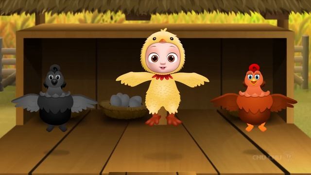 Хикети Пикети Моя милая курица - Детские песни и потешки ChuChu TV