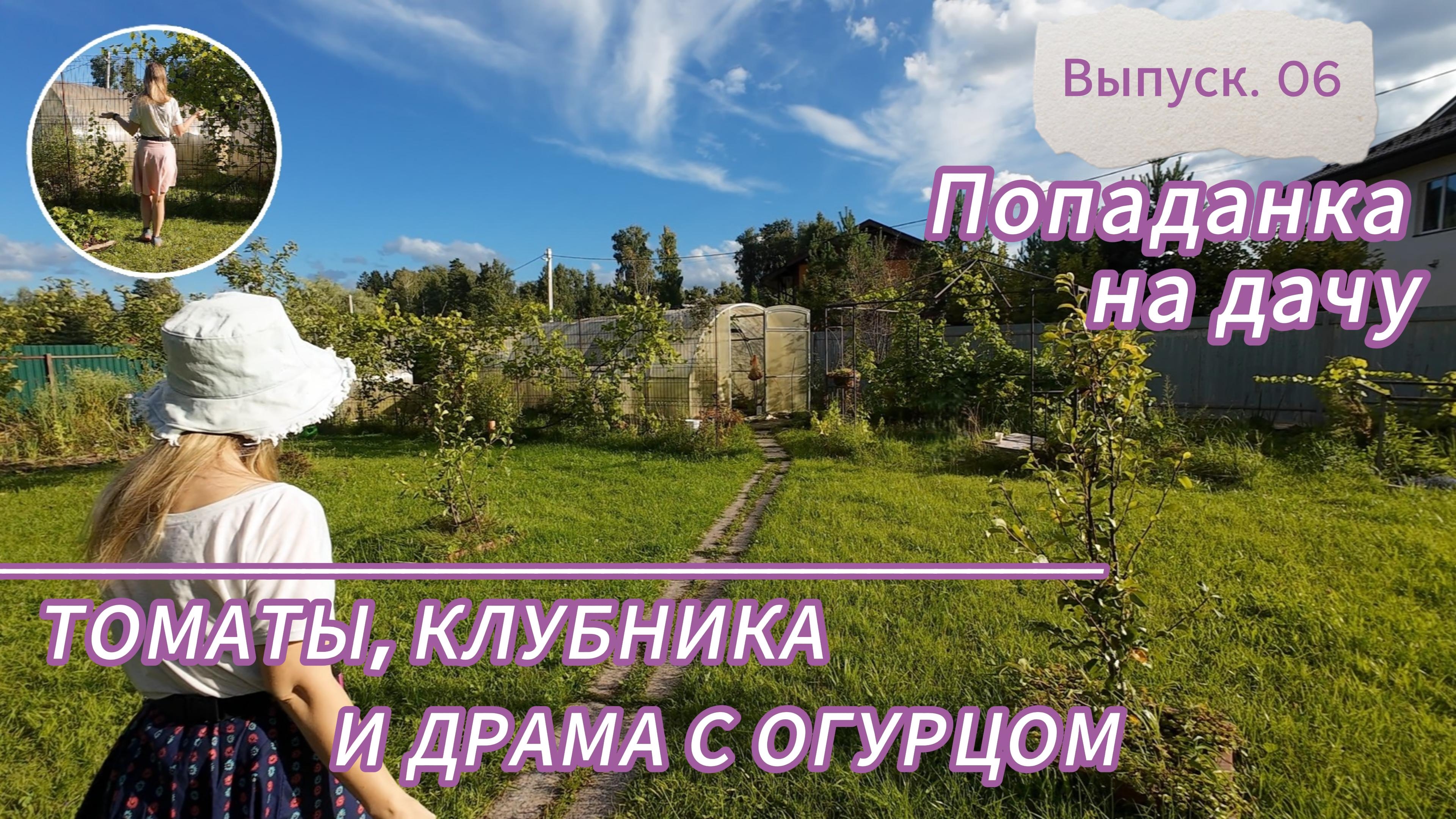 Попаданка на дачу: Августовская ревизия и драма с огурцом | Дачные будни. Выпуск 06