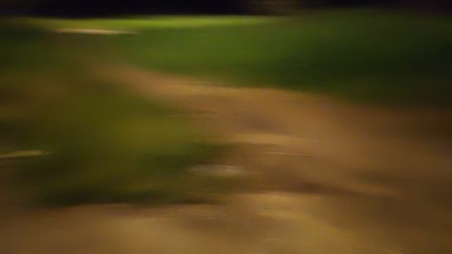 вечерняя прогулка