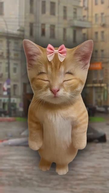 Признаки, что ты эмпат! Кисы объясняют 😻