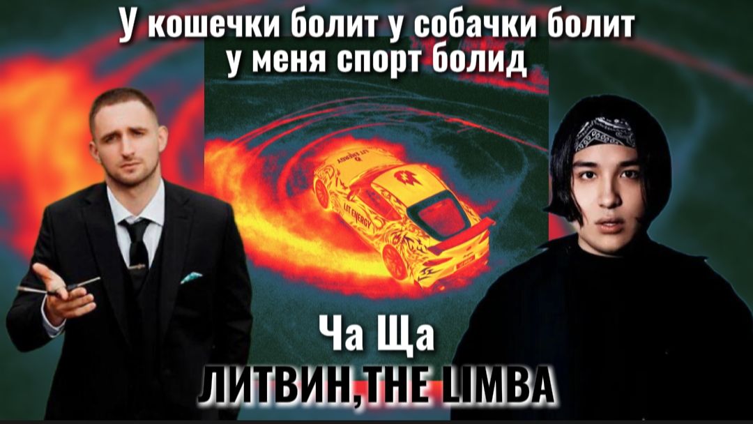 ЛИТВИН The Limba - Ча ща У кошечки болит у собачки болит у меня спорт болид Миша литвин мем