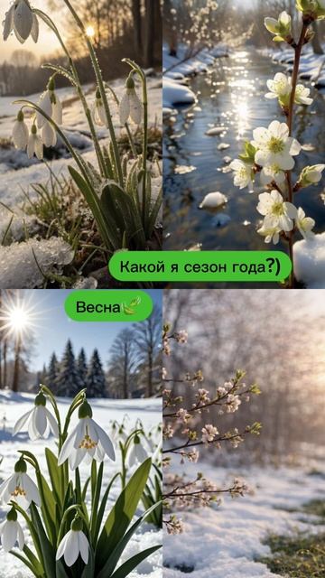Тренд в сообщениях 💬
