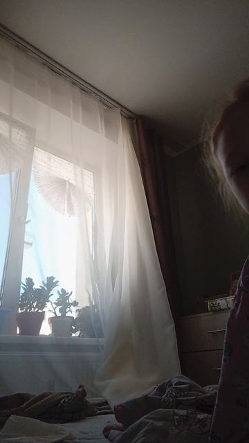 Ну и дела...mp4