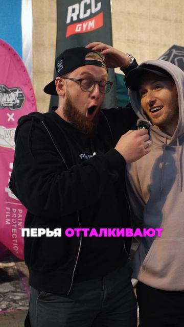 Почему наш маскот - это утка?