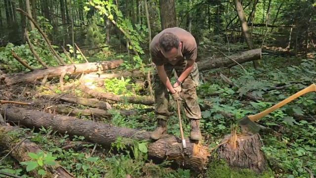 16.08.26 ПОРУБАС (3)