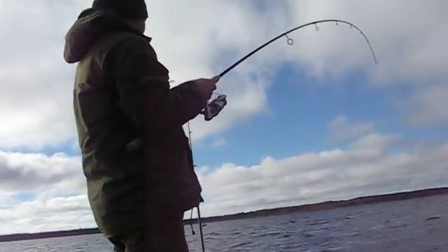 Щука ушла, а жаль, здоровая была.