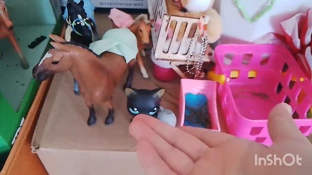 видео о моей кошке 🐈⬛❤️🌹🐾😢