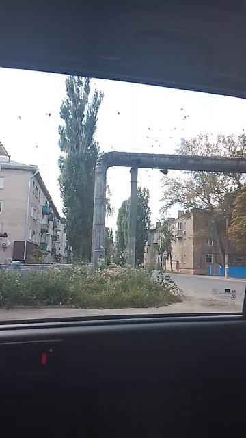 война птиц
