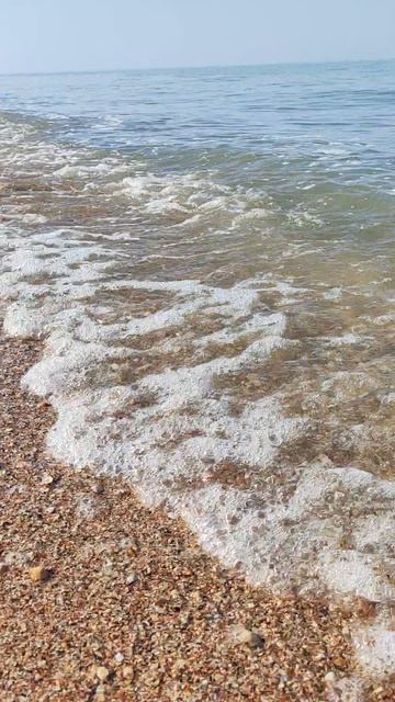 море, август