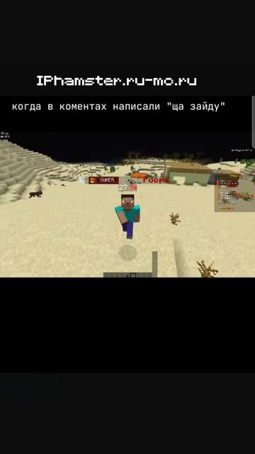 Айпи Hamster.ru-mc.ru