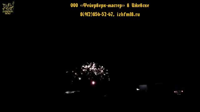 №10 2013 Смоленский звездопад