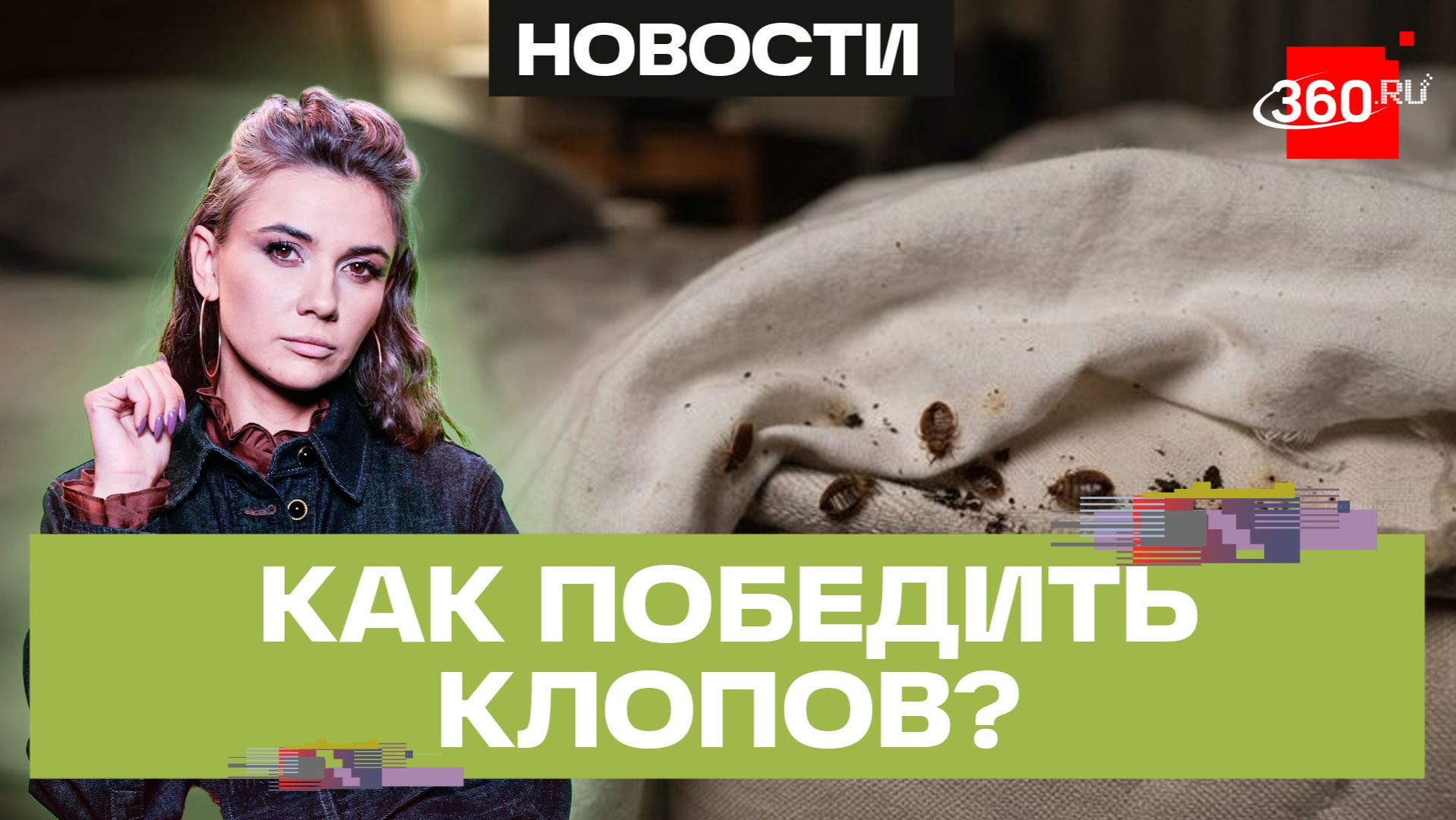 В России распространились клопы, которых не берут инсектициды