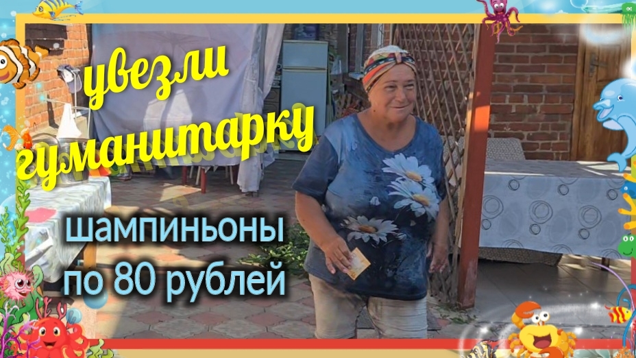 Увезли гуманитарную помощь. Шампиньоны по 80 рублей. Уборка во дворе. Обрезаю розы. Ремонт. Ейск♥️