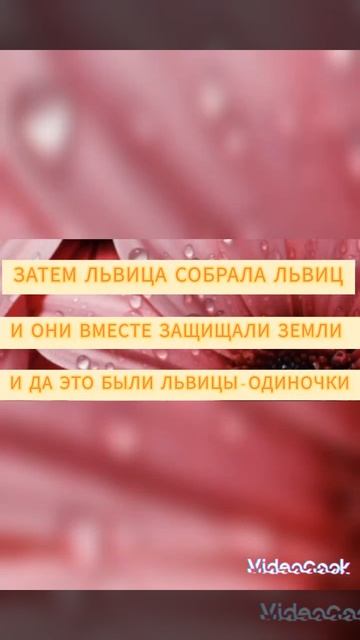 КОРОЛЬ ЛЕВ: ИСТОРИЯ ЛЬВИЦЫ ПО ИМЕНИ ФЕКЛА(ИСТОРИЯ ФЕКЛЫ) /.МОЯ ВЫДУМАННАЯ ПЕРСОНАЖИЦА/.