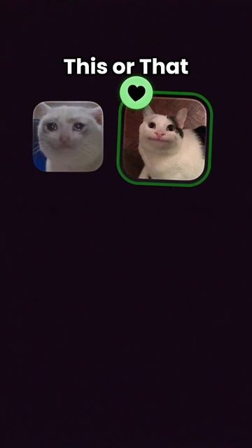 Meow Meow