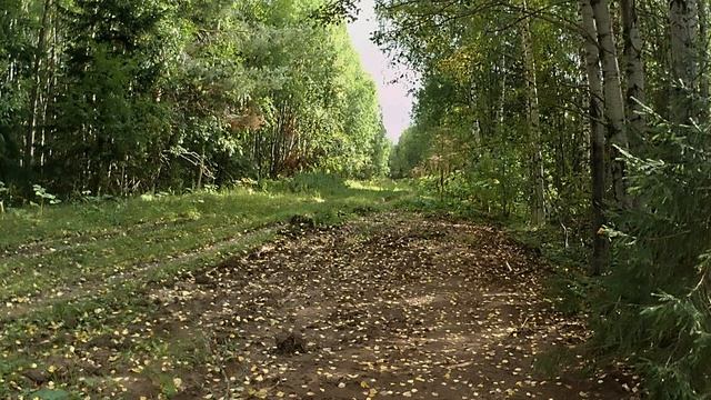 Деревня Малая Коротаевщина, огородные новости