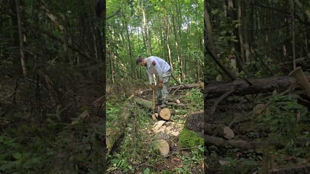 16.08.26 ПОРУБАС (6)