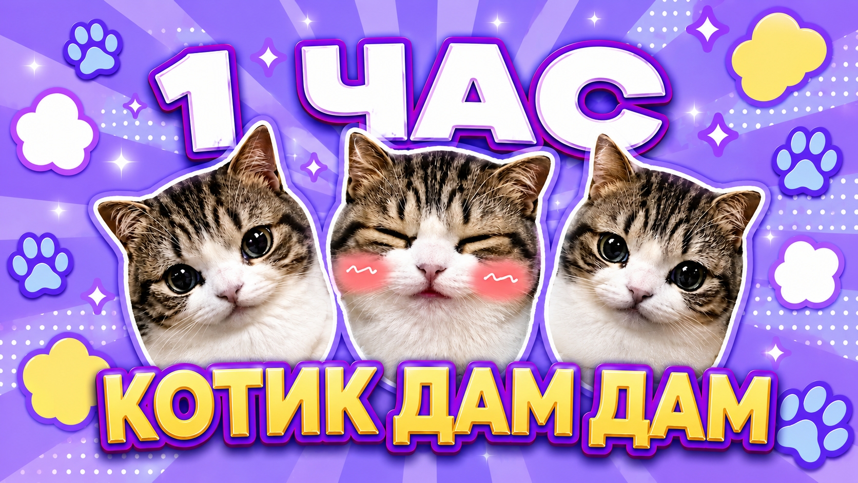 КОТИК ДАМ ДАМ ДИДИ ДИДИ - 1 ЧАС В КАЧНСТВЕ 1080P!!!