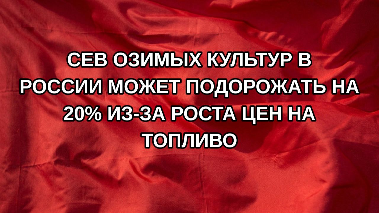 Сев озимых культур в России может подорожать на 20% из-за роста цен на топливо