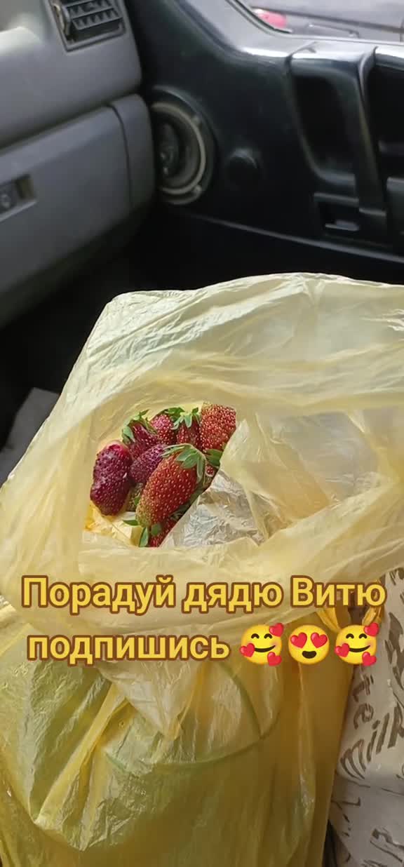 Роза джумилия и клубника купчиха. #сад #огород #акваферма #теплица #дядявитя