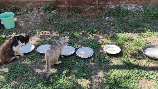 Ура! Купили стиральную машину! Спасибо подписчикам за помощь! Всем здоровья!
