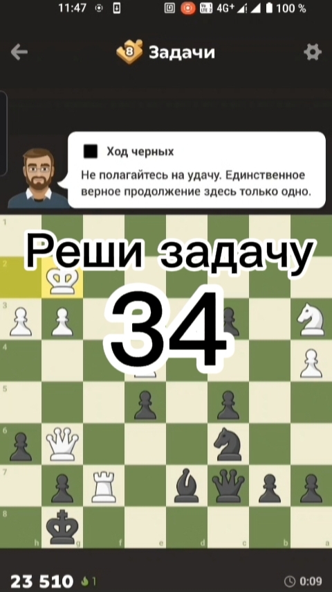 Реши шахматную задачу #34