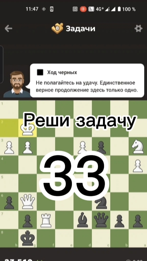 Реши шахматную задачу #33