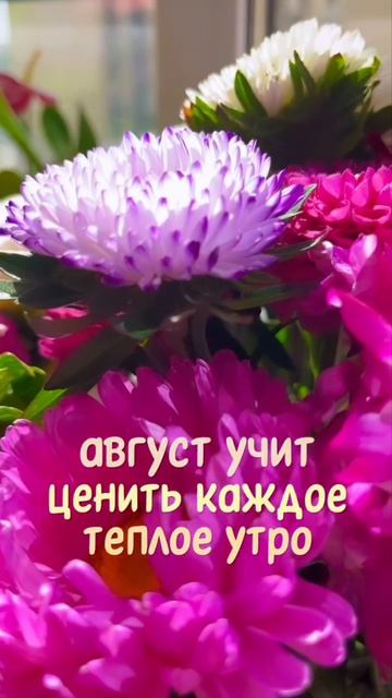 🌸