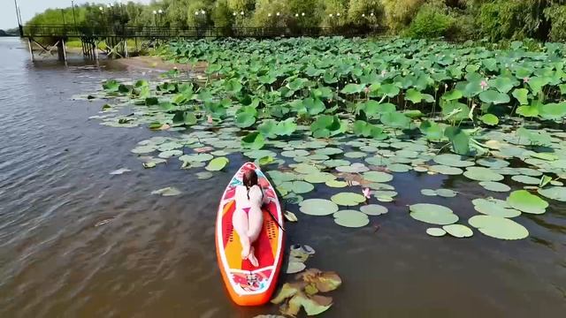 VID_20260826_100933_437.mp4