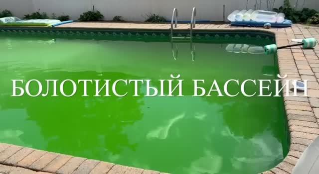 Болотистый Бассейн