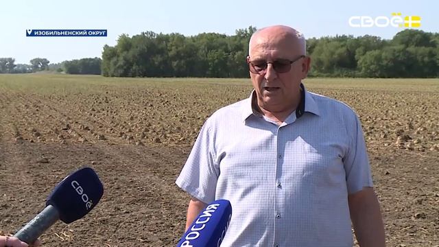 Новости на Своём от 26 августа 2026 г. 10:30