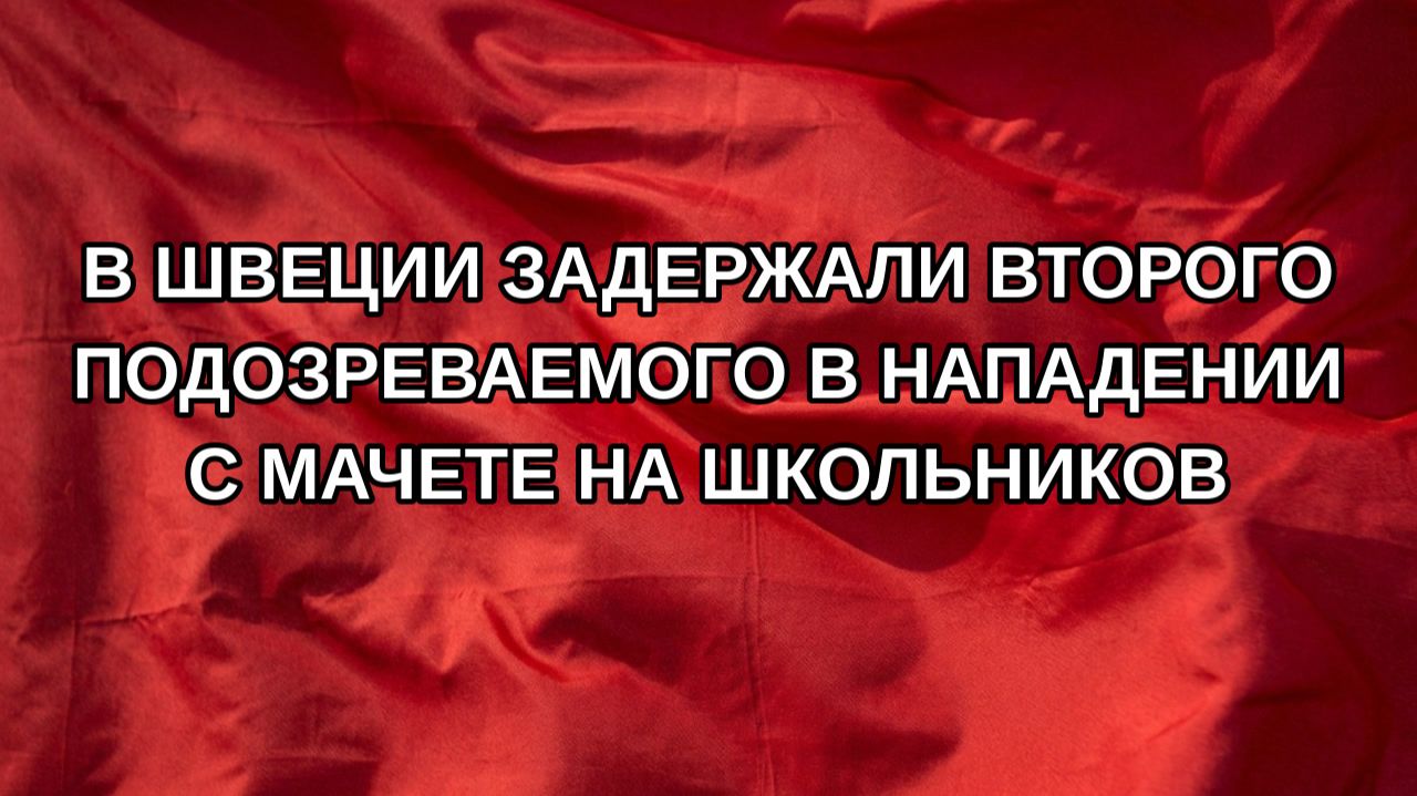 В Швеции задержали второго подозреваемого в нападении с мачете на школьников