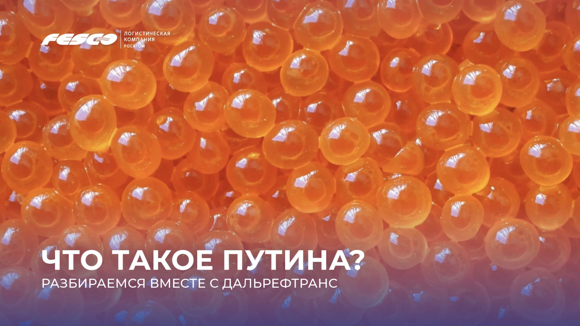 Лососёвая путина Дальрефтранс FESCO