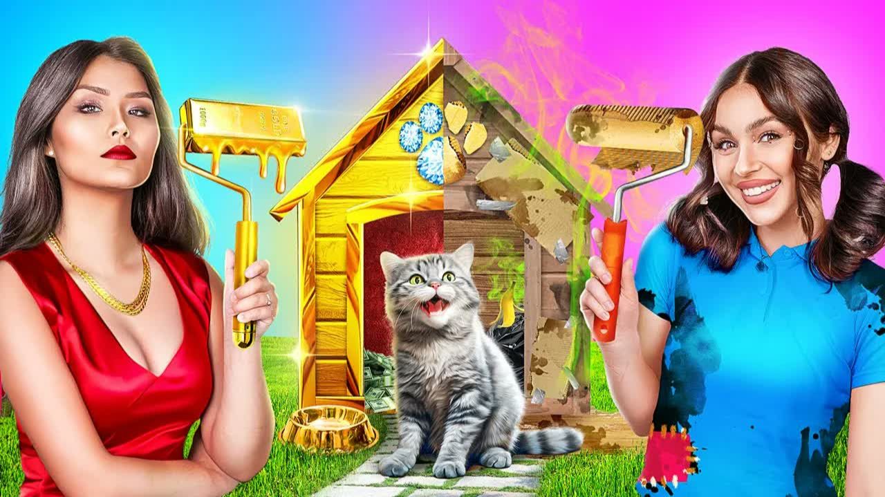 Секретная комната за $1 Vs $1000 для бездомного котенка