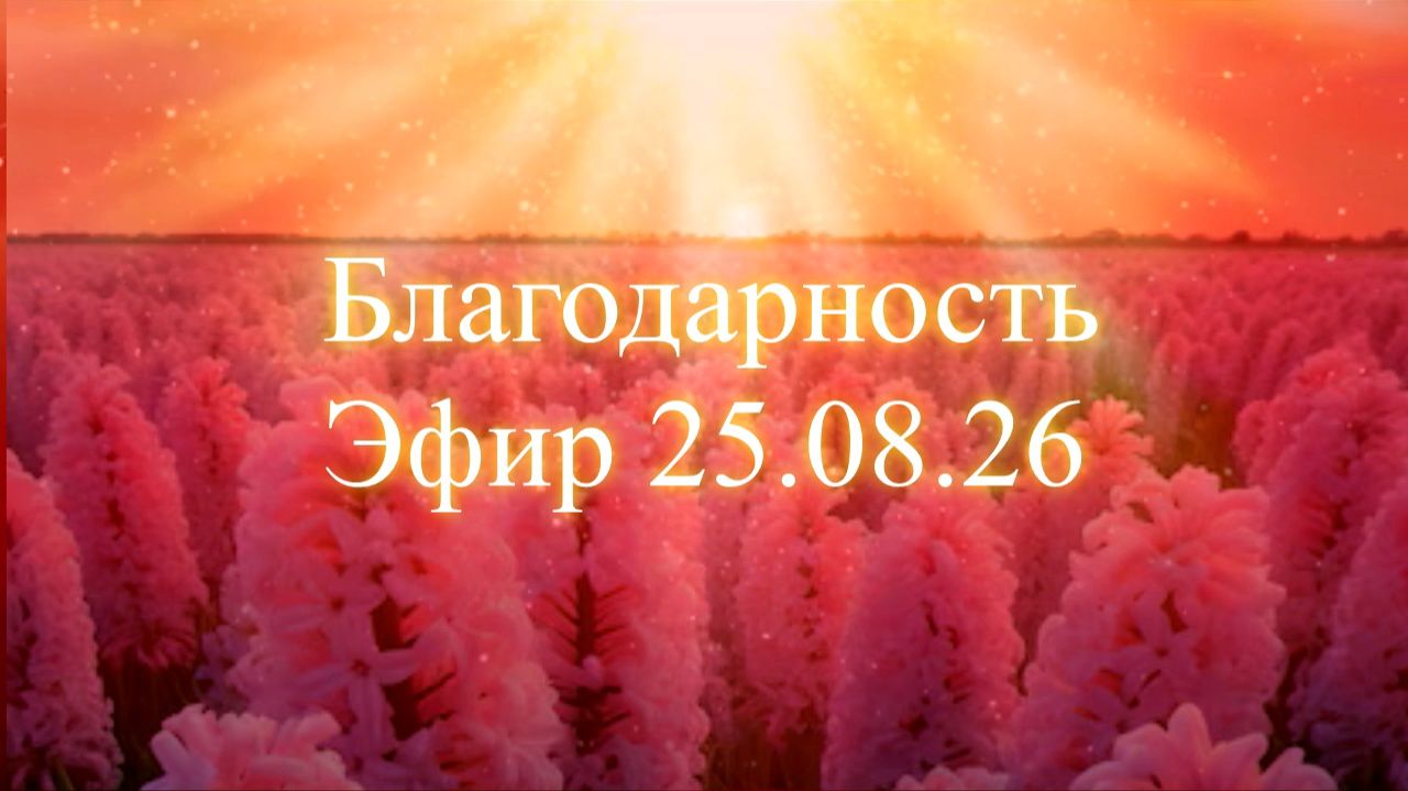 Благодарность. Эфир 25.08.26. Елена Бэкингерм