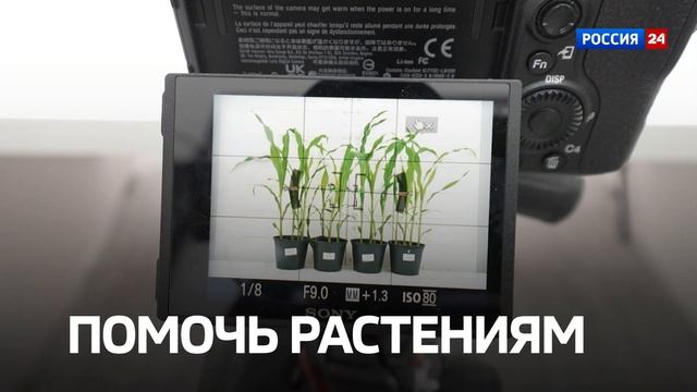 Анонс | Как новые технологии помогают аграриям собирать больше урожая и тратить меньше денег