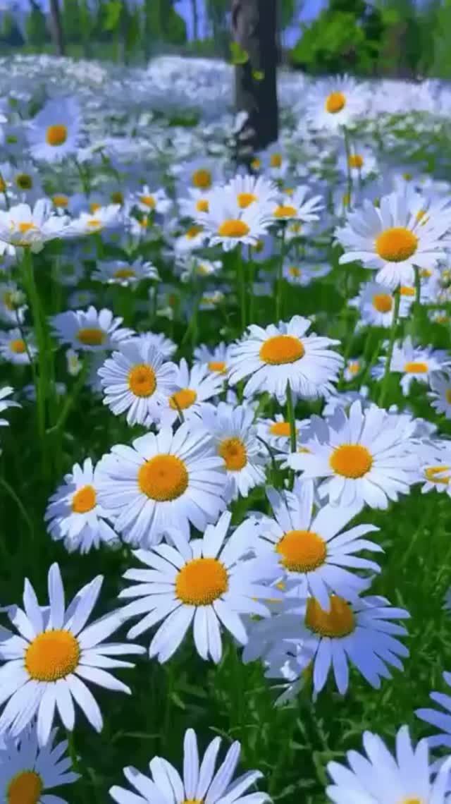 Ловите мгновения ...