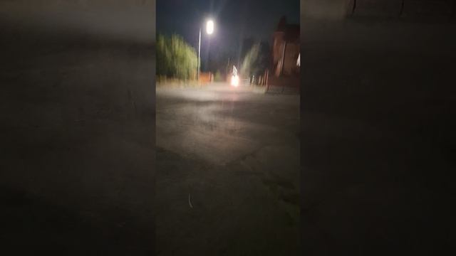 Ночью не спится .... Кормлю бездомыша...