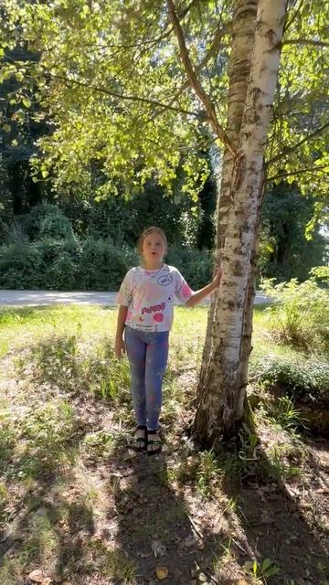 Гришина Полина, 10 лет. Н. М. Рубцов «Природа»