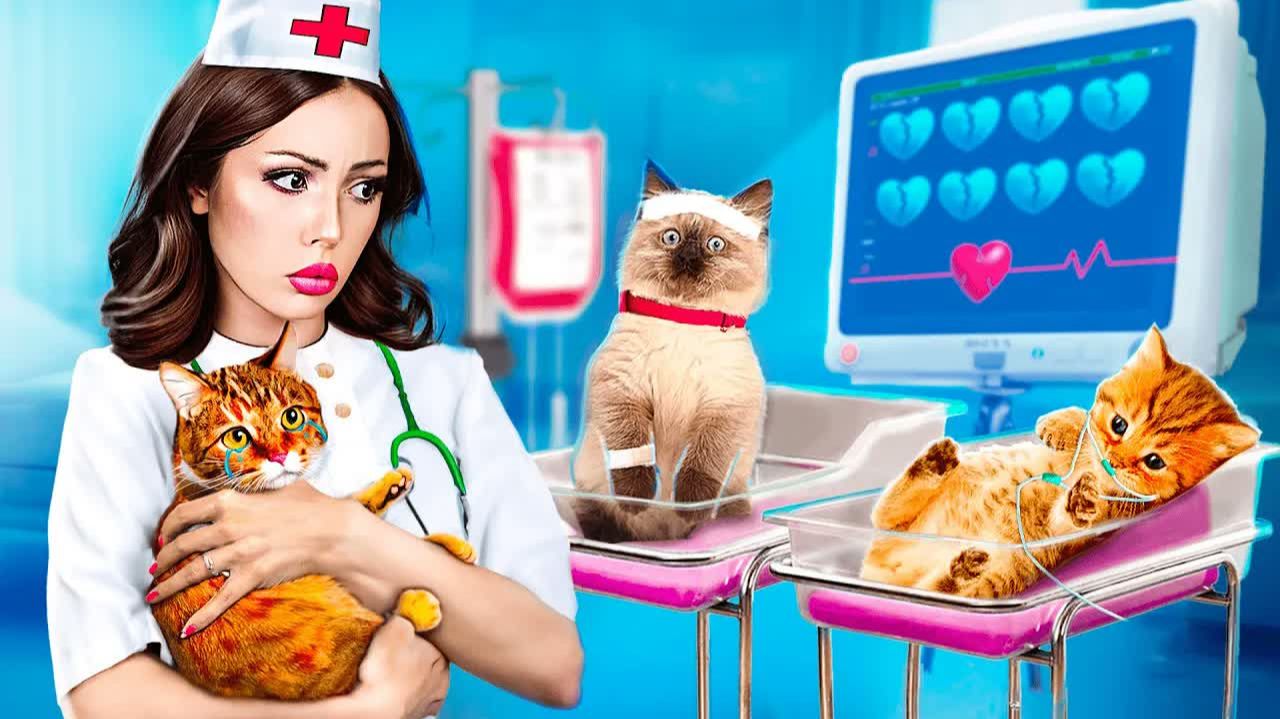 Спасатели животных в больнице! Мы спасли маленьких котят(1)
