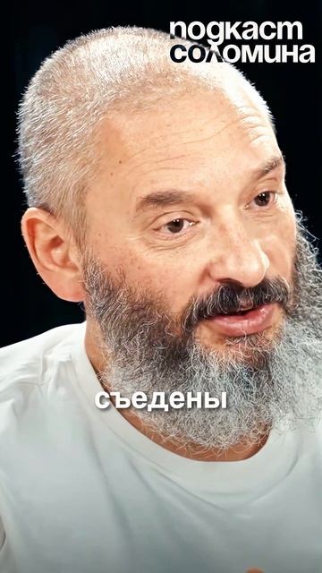 Как плесень съела пингвинов? | Глеб Соломин,Михаил Вишневский