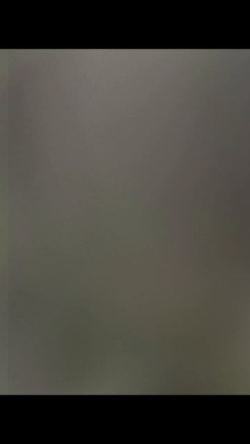 Шуша смотрит в окно