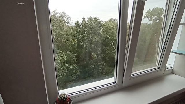 Посетила поликлинику А шанелька обойдётся без скверика .mp4