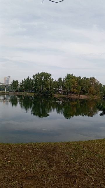 Люблю смотреть на воду!