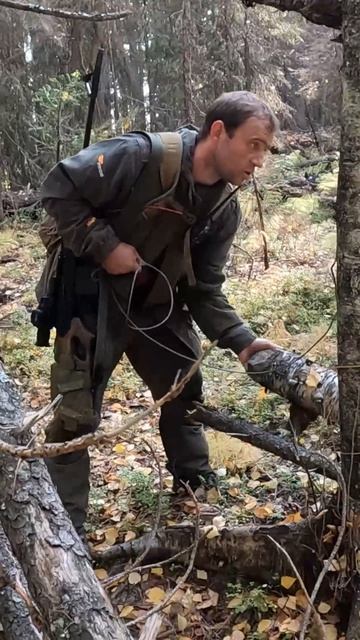 Брошенная ловушка на медведя.
