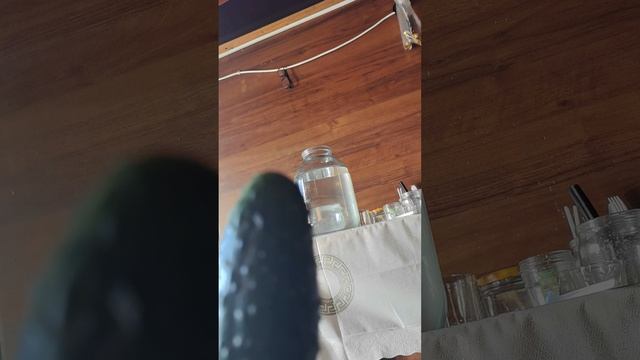 могучий огурец возмездие