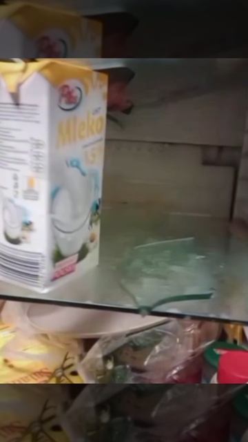 настоящий герой холодильника